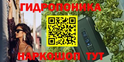 шишки Старая Купавна