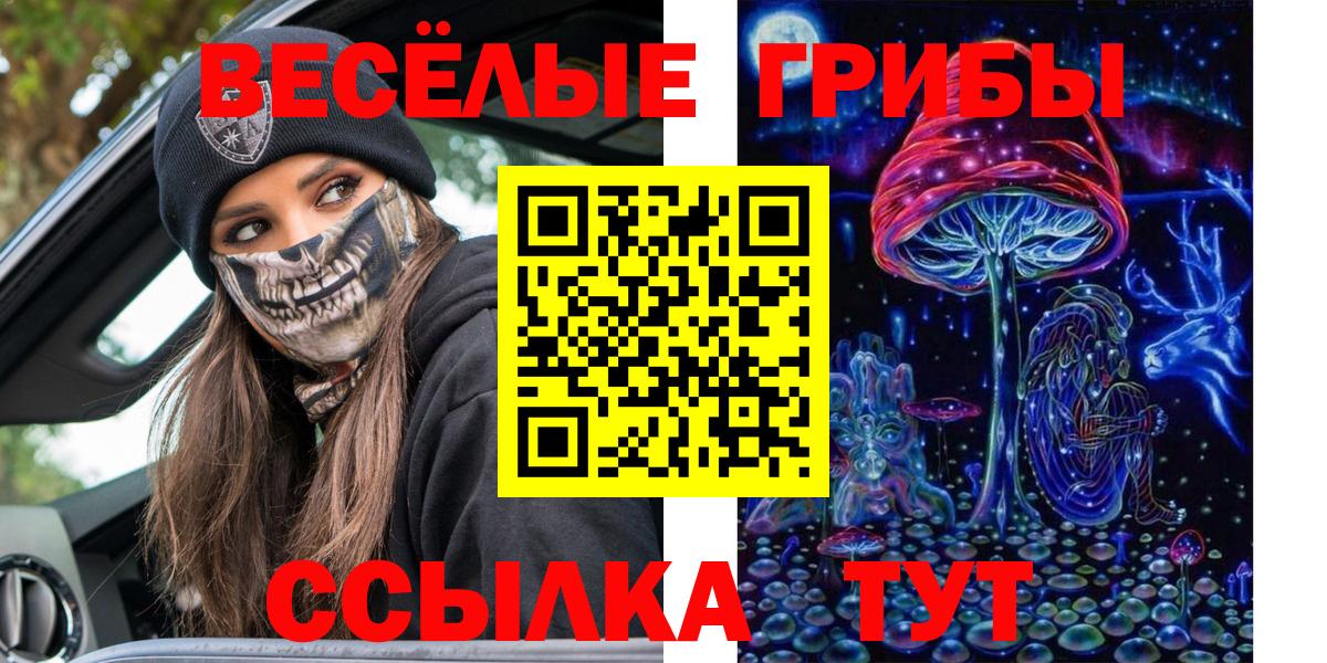 Галлюциногенные грибы GOLDEN TEACHER  Вход с VPN  Сосновый Бор 